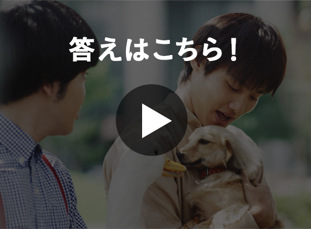 答えはこちら!