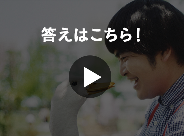 答えはこちら!