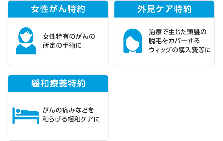 女性がん特約 女性特有のがんの所定の手術に 外見ケア特約 治療で生じた頭髪の脱毛をカバーするウィッグの購入費等に 緩和療養特約 がんの痛みなどを和らげる緩和ケアに