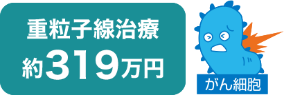 重粒子線治療 約309万円