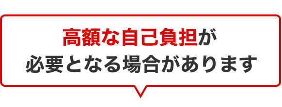 高額な自己負担が必要となる場合があります
