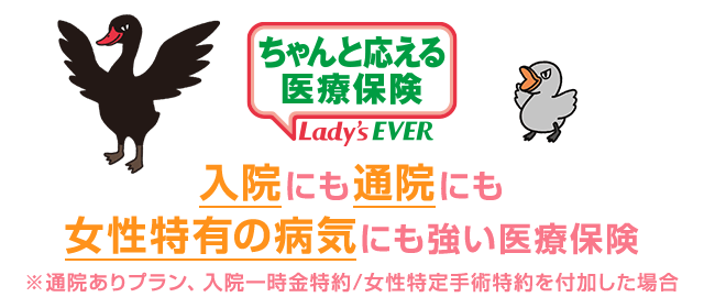 ちゃんと応える医療保険レディースEVER 女性のための医療保険
