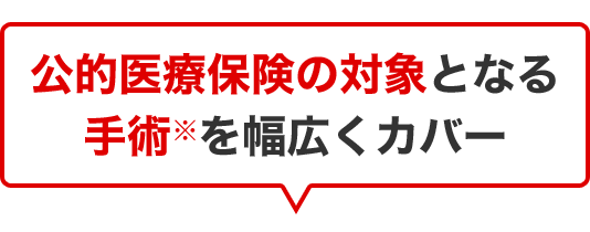 公的医療保険の対象となる手術※を幅広くカバー