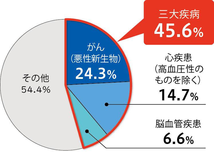 がん（悪性新生物）24.3％ 心疾患（高血圧症のものを除く）14.7％ 脳血管疾患 6.6％ 三大疾病 45.6％ その他 54.4％