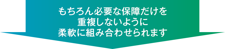 もちろん必要な保障だけを重複しないように柔軟に組み合わせられます