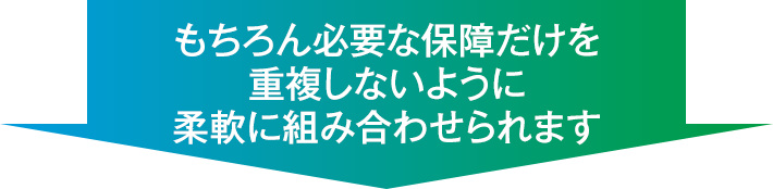 もちろん必要な保障だけを重複しないように柔軟に組み合わせられます