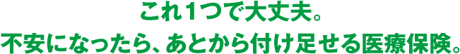 これ1つで大丈夫。不安になったら、あとから付け足せる医療保険。