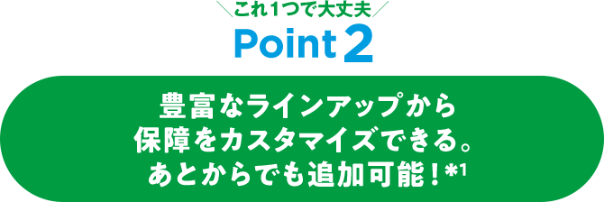 これ1つで大丈夫 Point2 豊富なラインアップから保障をカスタマイズできる。あとからでも追加可能！＊1