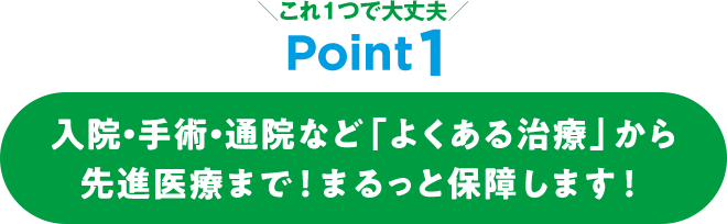 これ1つで大丈夫 Point1 入院・手術・通院など「よくある治療」から先進医療まで！まるっと保障します！