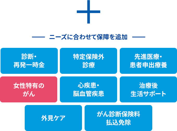 ＋ニーズに合わせて保障を追加 診断・再発一時金 特定保険外診療 先進医療・患者申出療養 女性特有のがん 心疾患・脳血管疾患 治療後生活サポート 外見ケア がん診断保険料払込免除