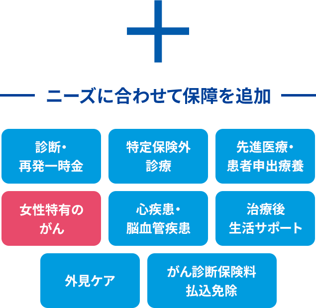 ＋ニーズに合わせて保障を追加 診断・再発一時金 特定保険外診療 先進医療・患者申出療養 女性特有のがん 心疾患・脳血管疾患 治療後生活サポート 外見ケア がん診断保険料払込免除