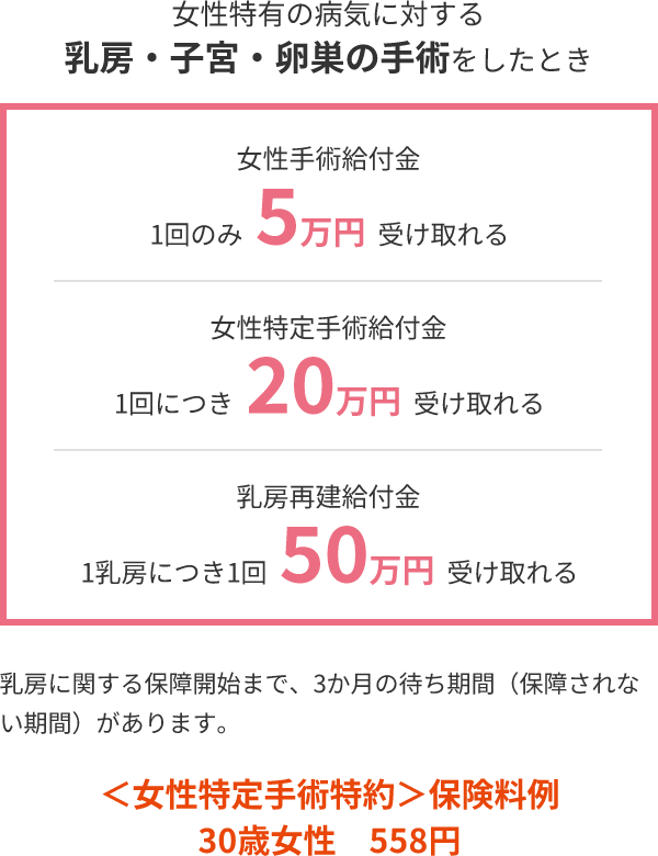 女性特有の病気に対する乳房・子宮・卵巣の手術をしたとき女性手術給付金1回のみ 5万円 受け取れる 女性特定手術給付金1回につき 20万円 受け取れる 乳房再建給付金1乳房につき1回 50万円 受け取れる 乳房に関する保障開始まで、3か月の待ち期間（保障されない期間）があります。 ＜女性特定手術特約＞保険料例 30歳女性　558円