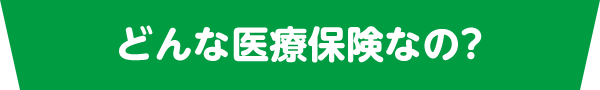 どんな医療保険なの？