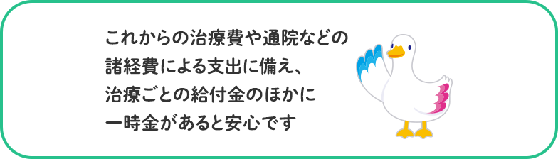 これからの治療費や通院などの諸経費による支出に備え、治療ごとの給付金のほかに一時金があると安心です ミライトダック