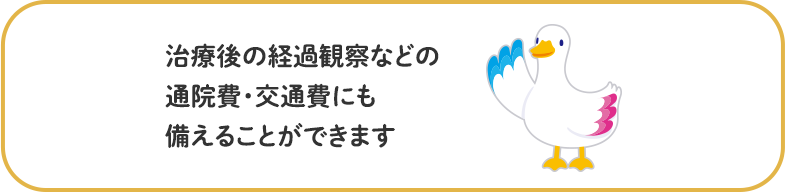 治療後の経過観察などの通院費・交通費にも備えることができます ミライトダック