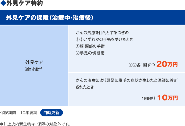 ◆外見ケア特約 外見ケアの保障（治療中・治療後） 外見ケア給付金＊1 がんの治療を目的とするつぎの①②いずれかの手術を受けたとき①顔・頭部の手術②手足の切断術 ①②各1回ずつ 20万円 がんの治療により頭髪に脱毛の症状が生じたと医師に診断されたとき 1回限り 10万円 保険期間：10年満期 自動更新 ＊1 上皮内新生物は、保障の対象外です。