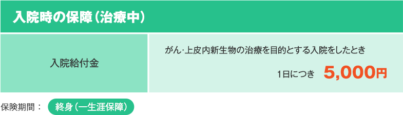 入院時の保障（治療中） 入院給付金 がん・上皮内新生物の治療を目的とする入院をしたとき 1日につき　5,000円 保険期間：終身（一生涯保障）