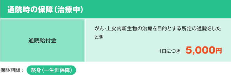 通院時の保障（治療中） 通院給付金 がん・上皮内新生物の治療を目的とする所定の通院をしたとき 1日につき　5,000円 保険期間：終身（一生涯保障）