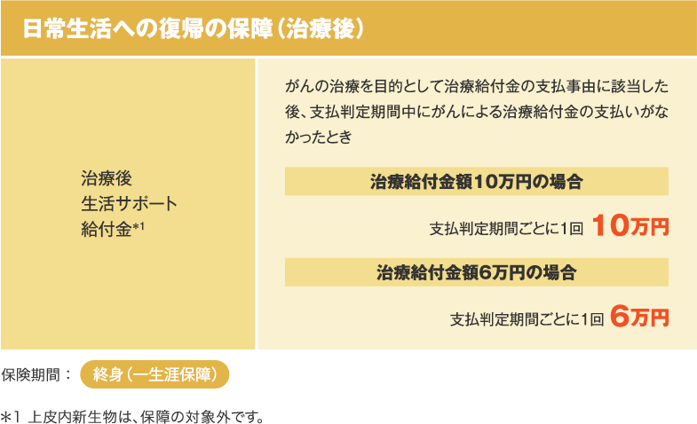 日常生活への復帰の保障（治療後） 治療後生活サポート給付金＊1 がんの治療を目的として治療給付金の支払事由に該当した後、支払判定期間中にがんによる治療給付金の支払いがなかったとき 治療給付金額10万円の場合 支払判定期間ごとに1回 10万円 治療給付金額6万円の場合 支払判定期間ごとに1回 6万円 保険期間：終身（一生涯保障） ＊1 上皮内新生物は、保障の対象外です。