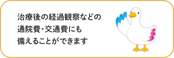 治療後の経過観察などの通院費・交通費にも備えることができます ミライトダック