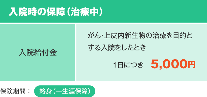 入院時の保障（治療中） 入院給付金 がん・上皮内新生物の治療を目的とする入院をしたとき 1日につき　5,000円 保険期間：終身（一生涯保障）