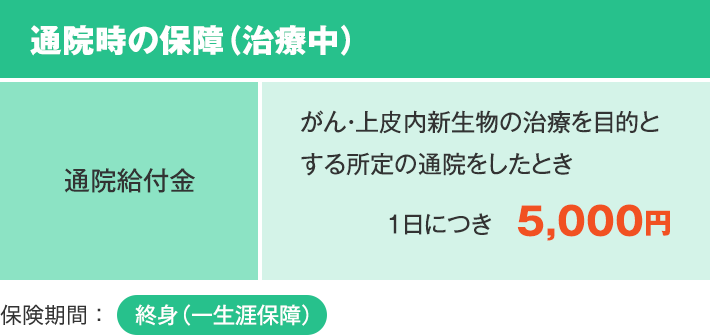 通院時の保障（治療中） 通院給付金 がん・上皮内新生物の治療を目的とする所定の通院をしたとき 1日につき　5,000円 保険期間：終身（一生涯保障）