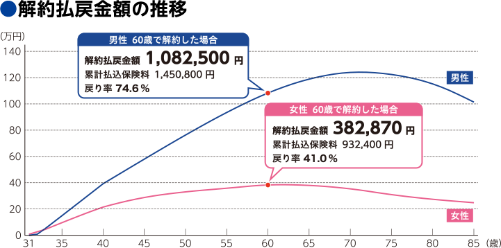 解約払戻金額の推移 男性30歳 月払保険料 4,030円 60歳で解約した場合 解約払戻金額 1,082,500円 累計払込保険料 1,450,800円 戻り率 74.6% 女性30歳 月払保険料 2,590円 60歳で解約した場合 解約払戻金額 382,870円 累計払込保険料 932,400円 戻り率 41.0%