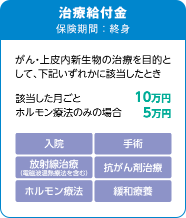 治療給付金 保険期間：終身 がん・上皮内新生物の治療を目的として、下記いずれかに該当したとき【入院、手術、放射線治療（電磁波温熱療法を含む）、抗がん剤治療、ホルモン療法、緩和療養】該当した月ごと10万円、ホルモン療法のみの場合5万円