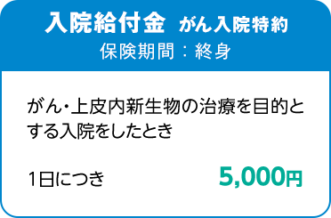 入院給付金 がん入院特約 保険期間：終身 がん・上皮内新生物の治療を目的とする入院をしたとき 1日につき5,000円