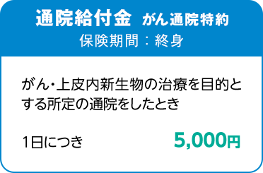 通院給付金 がん通院特約 保険期間：終身 がん・上皮内新生物の治療を目的とする所定の通院をしたとき 1日につき5,000円