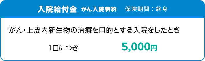 入院給付金 がん入院特約 保険期間：終身 がん・上皮内新生物の治療を目的とする入院をしたとき 1日につき5,000円