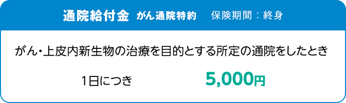 通院給付金 がん通院特約 保険期間：終身 がん・上皮内新生物の治療を目的とする所定の通院をしたとき 1日につき5,000円