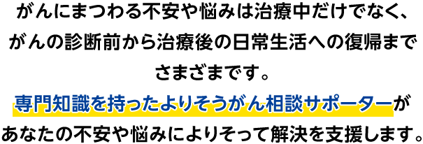 がんにまつわる不安や悩みは治療中だけでなく、がんの診断前から治療後の日常生活への復帰までさまざまです。専門知識を持ったよりそうがん相談サポーターがあなたの不安や悩みによりそって解決を支援します。