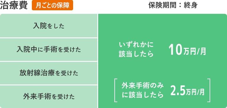 治療費【月ごとの保障】保険期間：終身 入院をした、入院中に手術を受けた、放射線治療を受けた、外来手術を受けた、いずれかに該当したら10万円／月［外来手術のみに該当したら2．5万円／月］