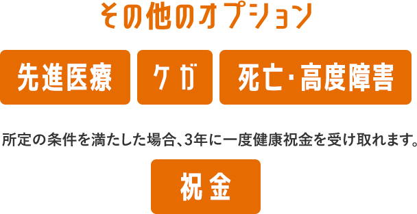 その他のオプション 先進医療 ケガ 死亡・高度障害 所定の条件を満たした場合、3年に一度健康祝金を受け取れます。 祝金