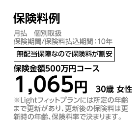 保険料例 月払　個別取扱 保険期間／保険料払込期間：10年 無配当保障なので保険料が割安 保険金額500万円コース 1，065円　30歳 女性 ※Lightフィットプランには所定の年齢まで更新があり、更新後の保険料は更新時の年齢、保険料率で決まります。