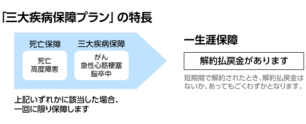 「三大疾病保障プラン」の特長 死亡保障 死亡高度障害 三大疾病保障 がん 急性心筋梗塞 脳卒中 上記いずれかに該当した場合、一回に限り保障します 一生涯保障 解約払戻金があります 短期間で解約されたとき、解約払戻金はないか、あってもごくわずかとなります。