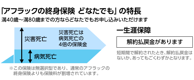 「アフラックの終身保険 どなたでも」の特長 満40歳〜満80歳までの方ならどなたでもお申し込みいただけます 災害死亡 災害死亡は病気死亡の4倍の保険金 病気死亡 ※この保険は無選択型であり、通常のアフラックの終身保険よりも保険料が割増されています。 一生涯保障 解約払戻金があります 短期間で解約されたとき、解約払戻金はないか、あってもごくわずかとなります。