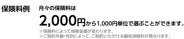 保険料例 月々の保険料は2，000円から1，000円単位で選ぶことができます。※保険料によって保険金額が変わります。 ※ご契約年齢・性別によって、ご契約いただける最低保険料が異なります。
