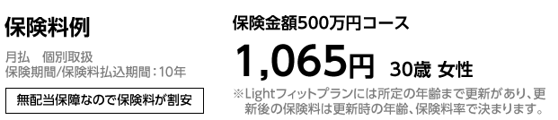 保険料例 月払　個別取扱 保険期間／保険料払込期間：10年 無配当保障なので保険料が割安 保険金額500万円コース 1，065円　30歳 女性 ※Lightフィットプランには所定の年齢まで更新があり、更新後の保険料は更新時の年齢、保険料率で決まります。