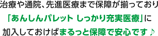 治療や通院、先進医療まで保障が揃っており「あんしんパレット しっかり充実医療」に加入しておけばまるっと保障で安心です♪