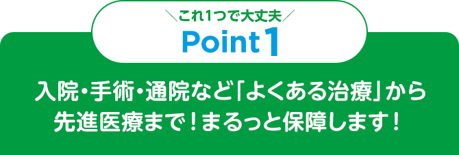 これ1つで大丈夫 Point1 入院・手術・通院など「よくある治療」から先進医療まで！まるっと保障します！