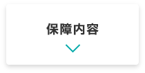 保障内容