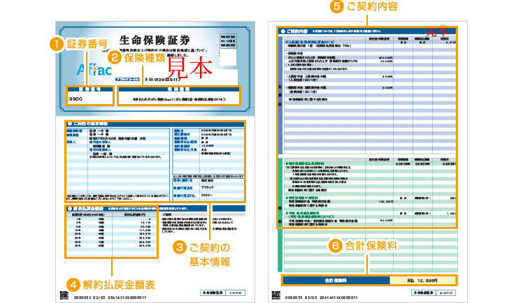 保険証券（見本）