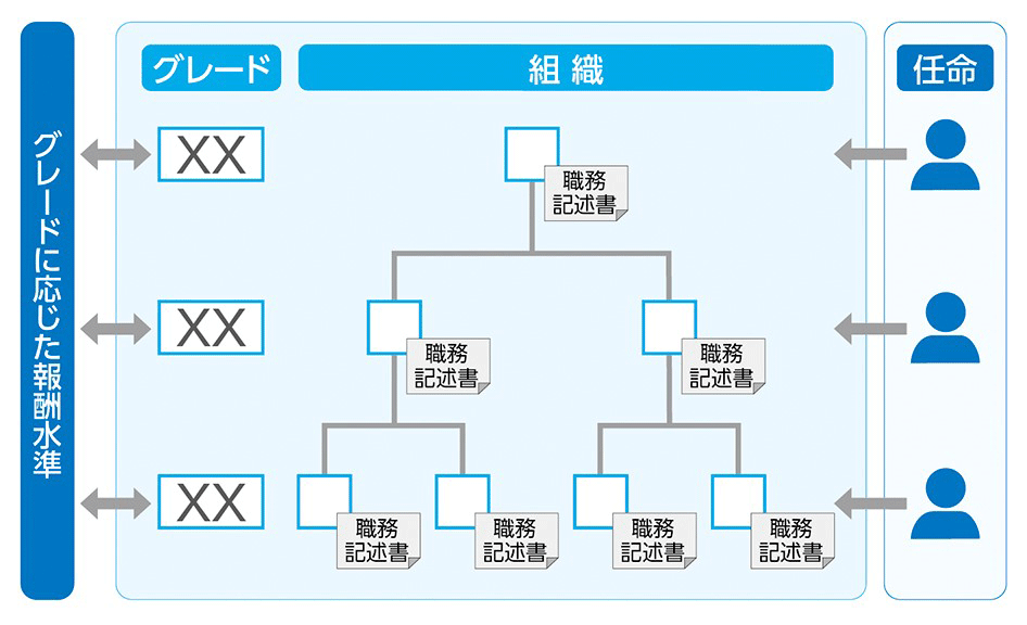 グレードに応じた報酬水準 グレード XX XX XX 組織 職務記述書 職務記述書 職務記述書 職務記述書 職務記述書 職務記述書 職務記述書 任命