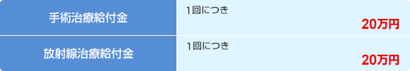 手術治療給付金 1回につき 20万円 放射線治療給付金 1回につき 20万円