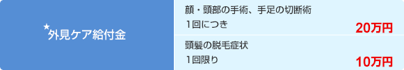★外見ケア給付金 顔・頭部の手術、手足の切断術 1回につき 20万円 頭髪の脱毛症状 1回限り 10万円