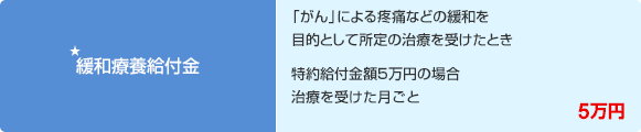 ★緩和療養給付金 「がん」による疼痛などの緩和を目的として所定の治療を受けたとき 特約給付金額5万円の場合 治療を受けた月ごと 5万円