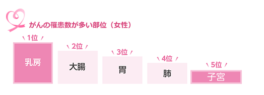 がんの罹患数が多い部位（女性） 1位 乳房 2位 大腸 3位 胃 4位 肺 5位 子宮 出典：国立がん研究センターがん情報サービス「がん登録・統計」罹患データ 地域がん登録全国推計によるがん罹患データ（1975年～2014年） 診断年2014年をもとにアフラック作成