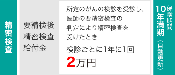 精密検査 要精検後精密検査給付金 所定のがんの検診を受診し、医師の要精密検査の判定により精密検査を受けたとき検診ごとに1年に1回 2万円 保険期間10年満期（自動更新）